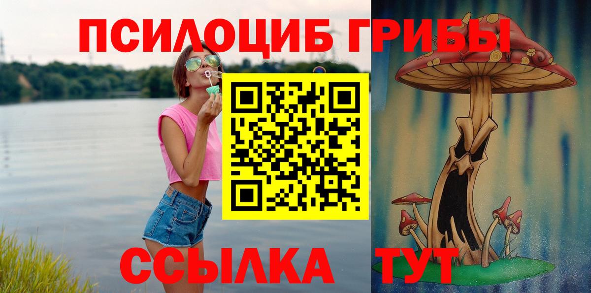 Ржев  Галлюциногенные грибы прущие грибы  Вход с VPN  Галлюциногенные грибы GOLDEN TEACHER 