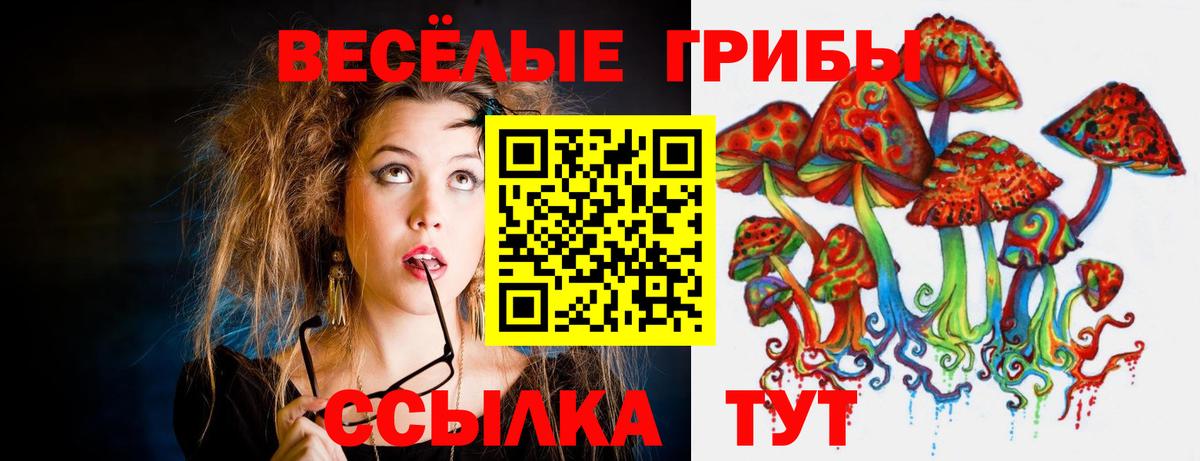Галлюциногенные грибы мицелий Ржев